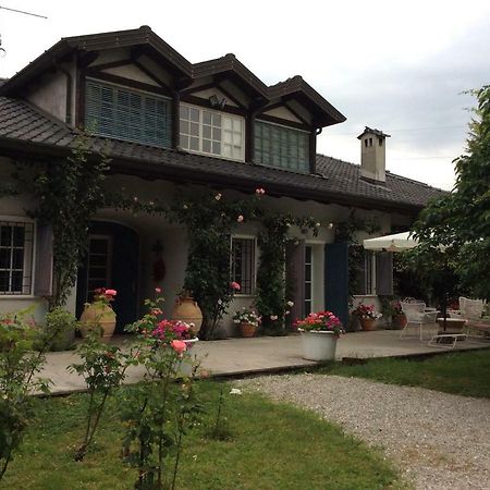 Le Querce Tricesimo Exterior foto