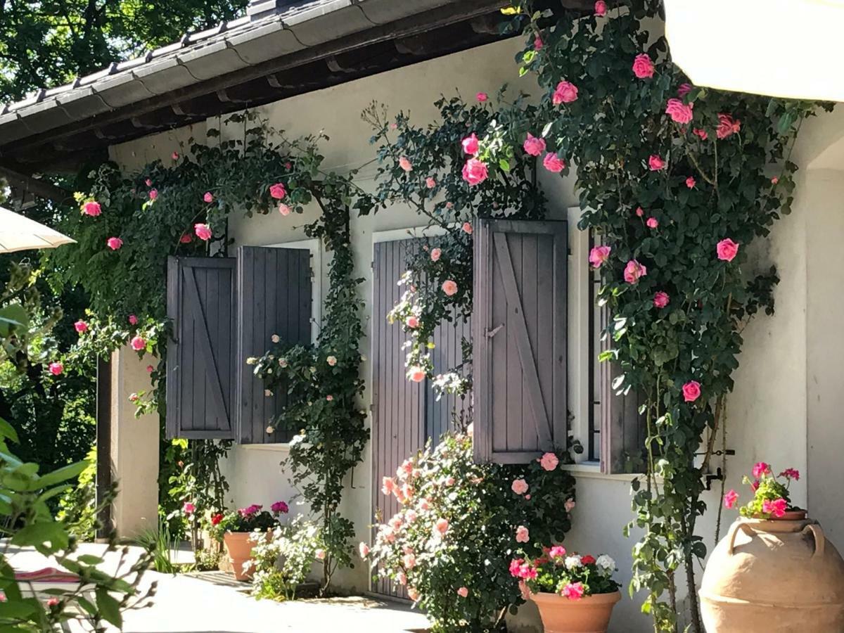 Le Querce Tricesimo Exterior foto